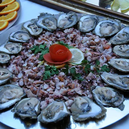 泽尼特内乌姆酒店 3* 内乌姆